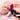 LELO Gigi 2 - Deep Rose