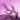 Honey Play Box - Trilux - Kinky Finger Rabbit Vibrator with Anal Beads