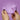 Unihorn® C-Horse - Marina Lilac
